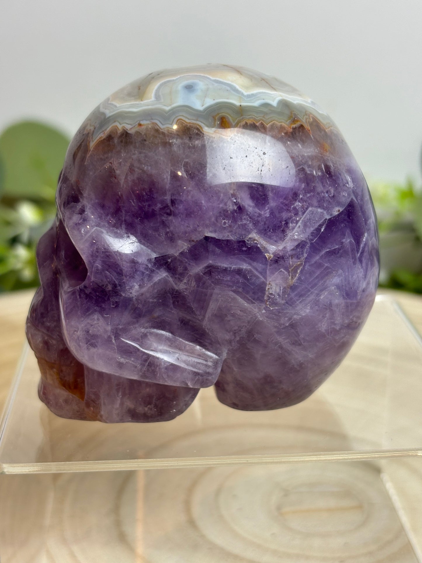Crazy lace Amethyst skull