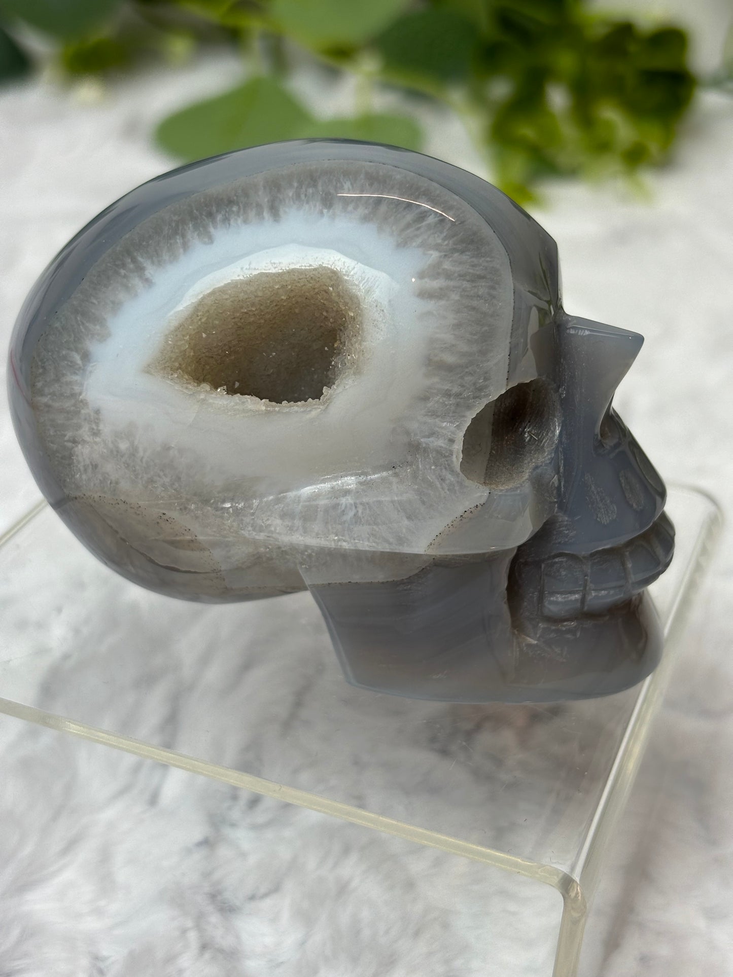 Druzy Agate Skull