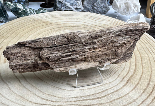 Petrified Wood