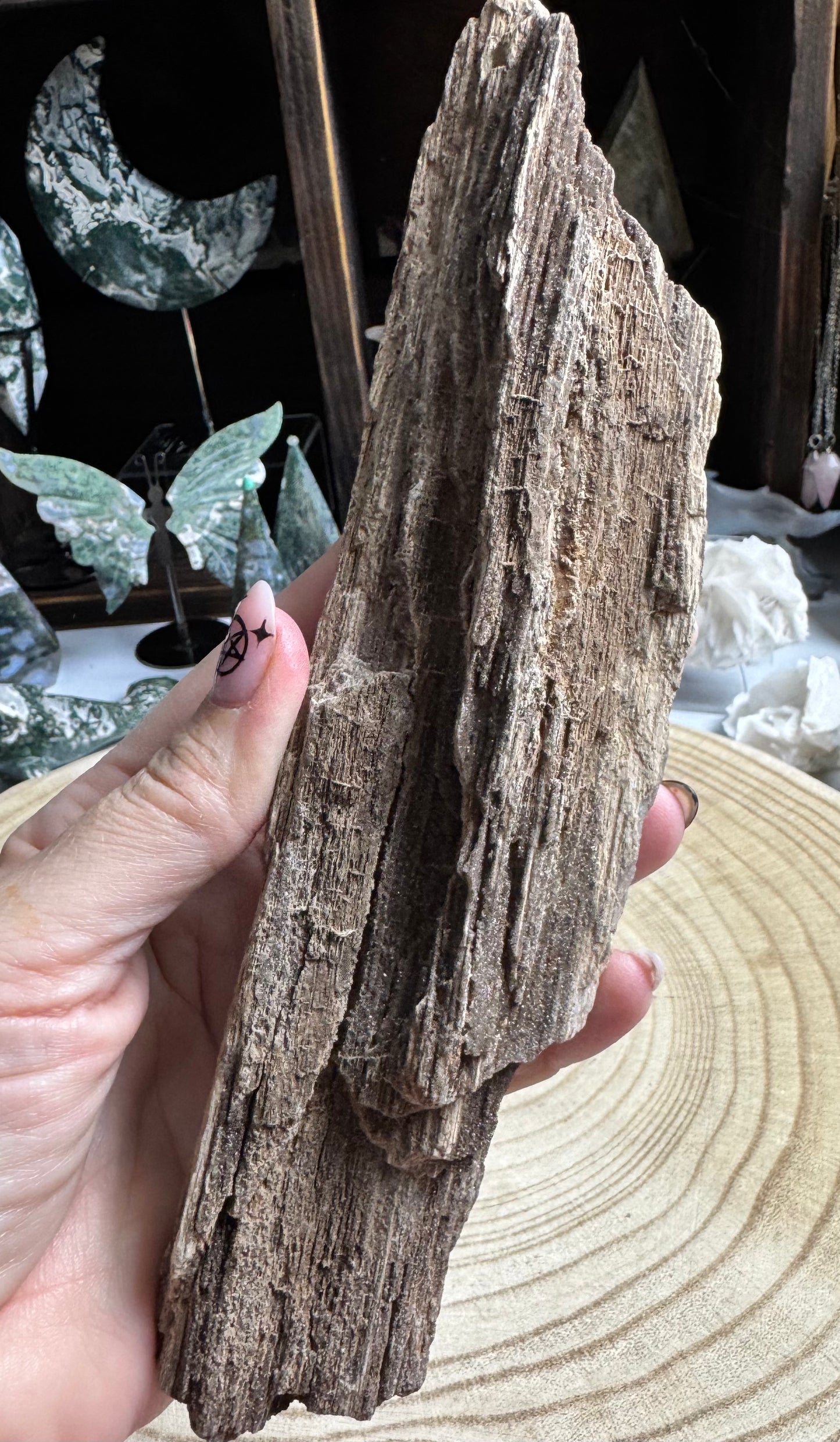 Petrified Wood