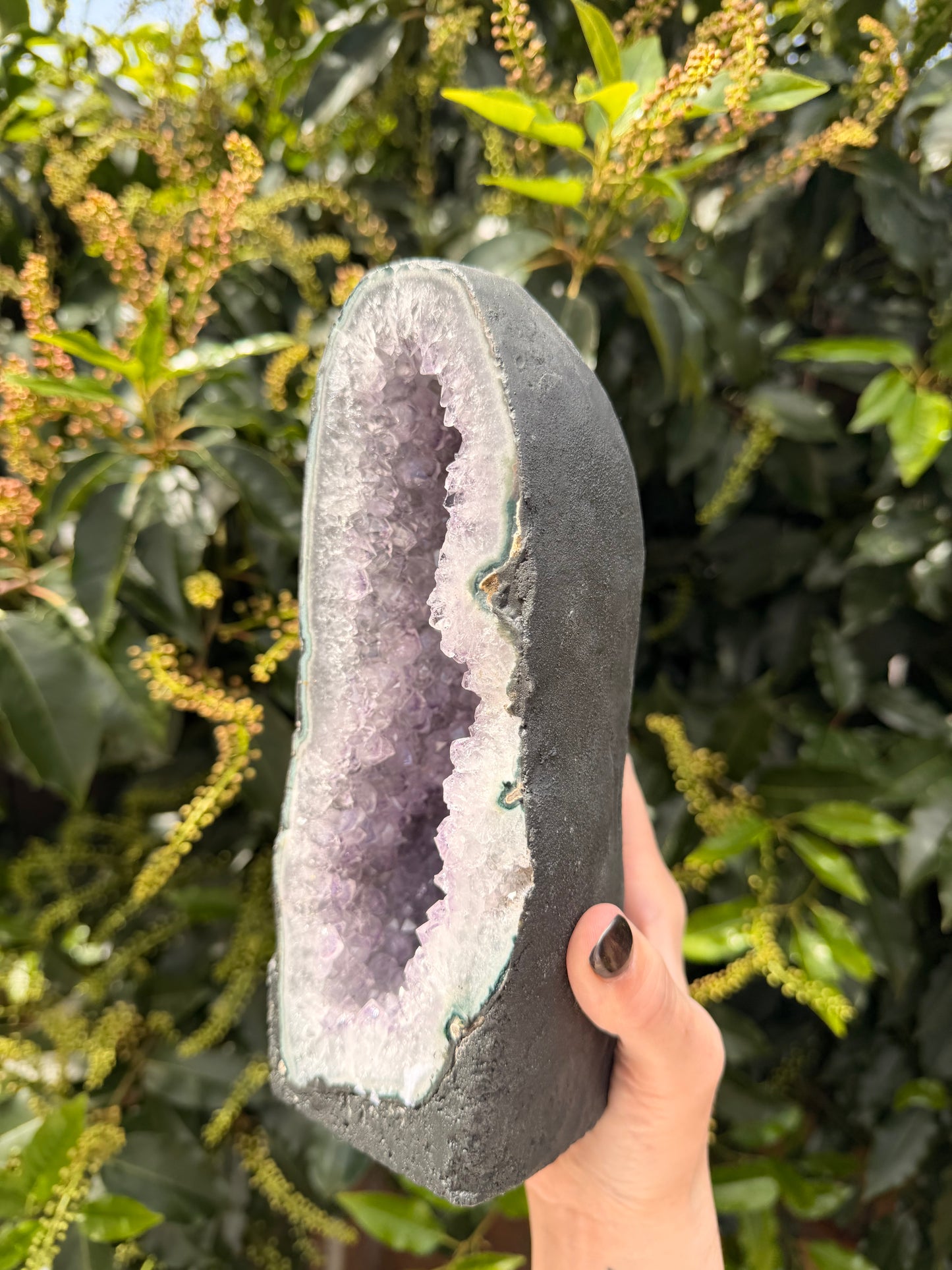 Large Amethyst Cathedral Geode – 21cm | 2.129kg