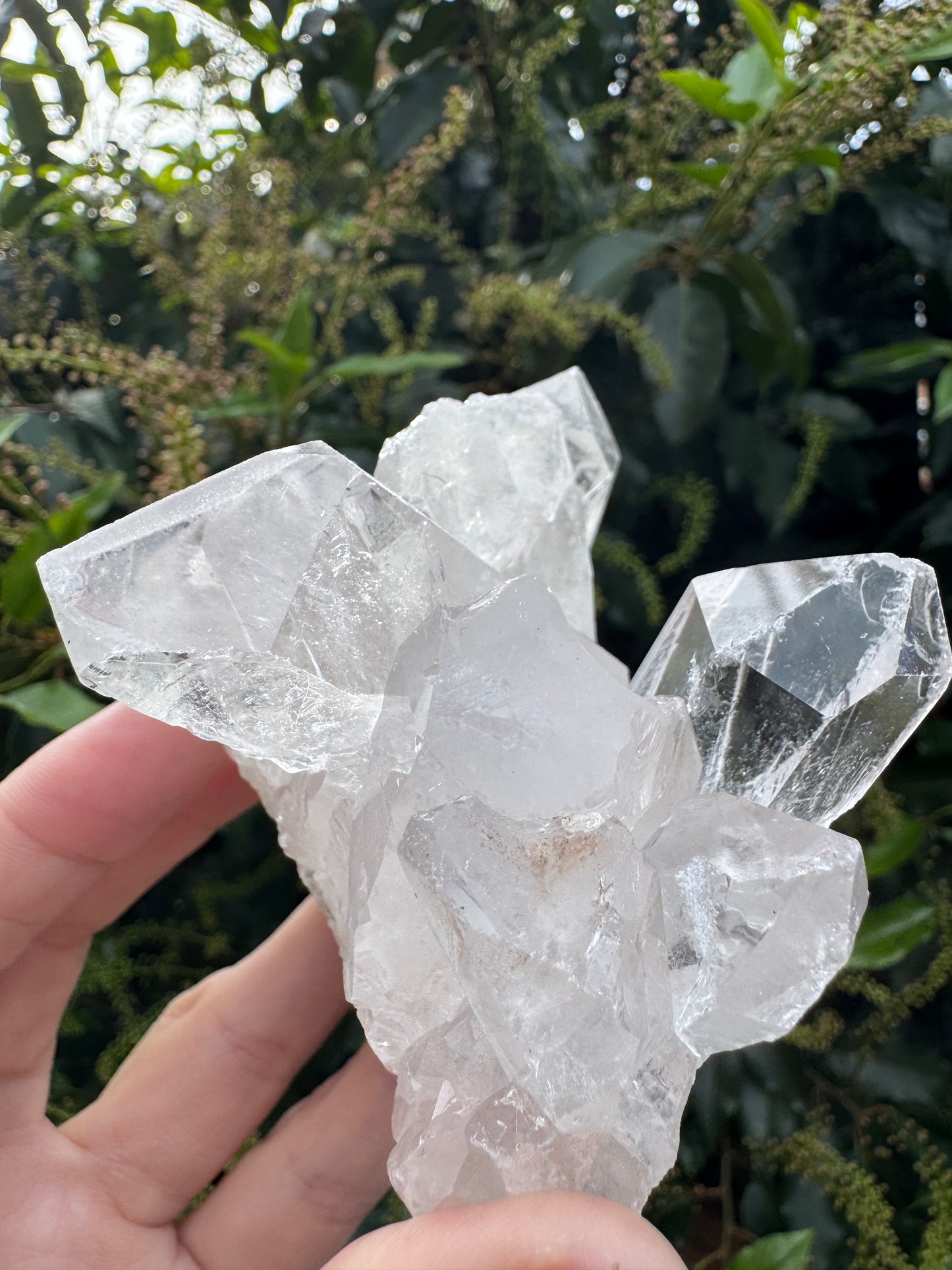 Clear Quartz Cluster – 291g