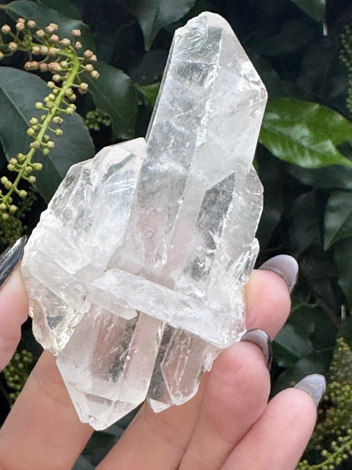 Clear quartz raw cluster