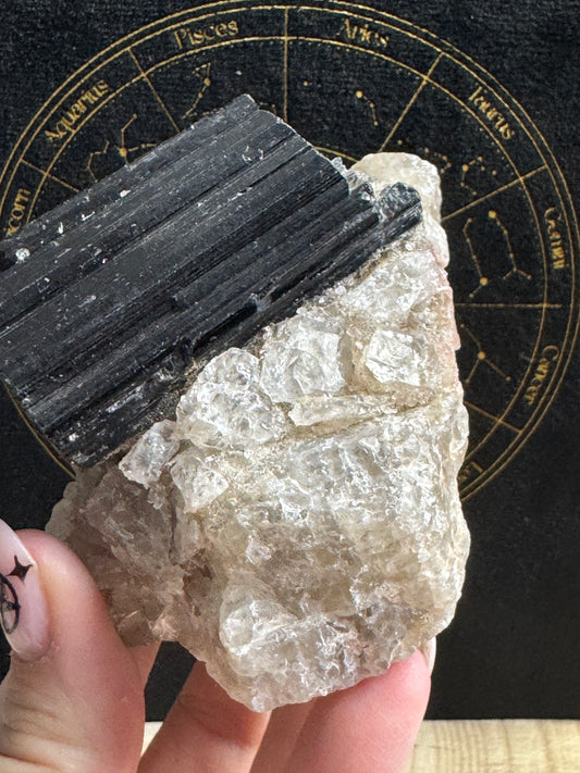 Black Tourmaline on Quartz