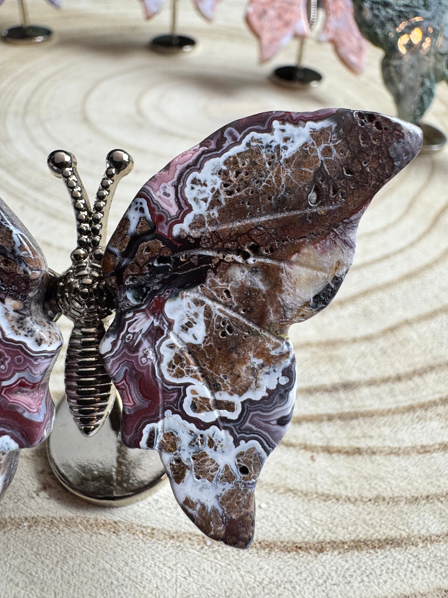 Crazy Lace Butterfly