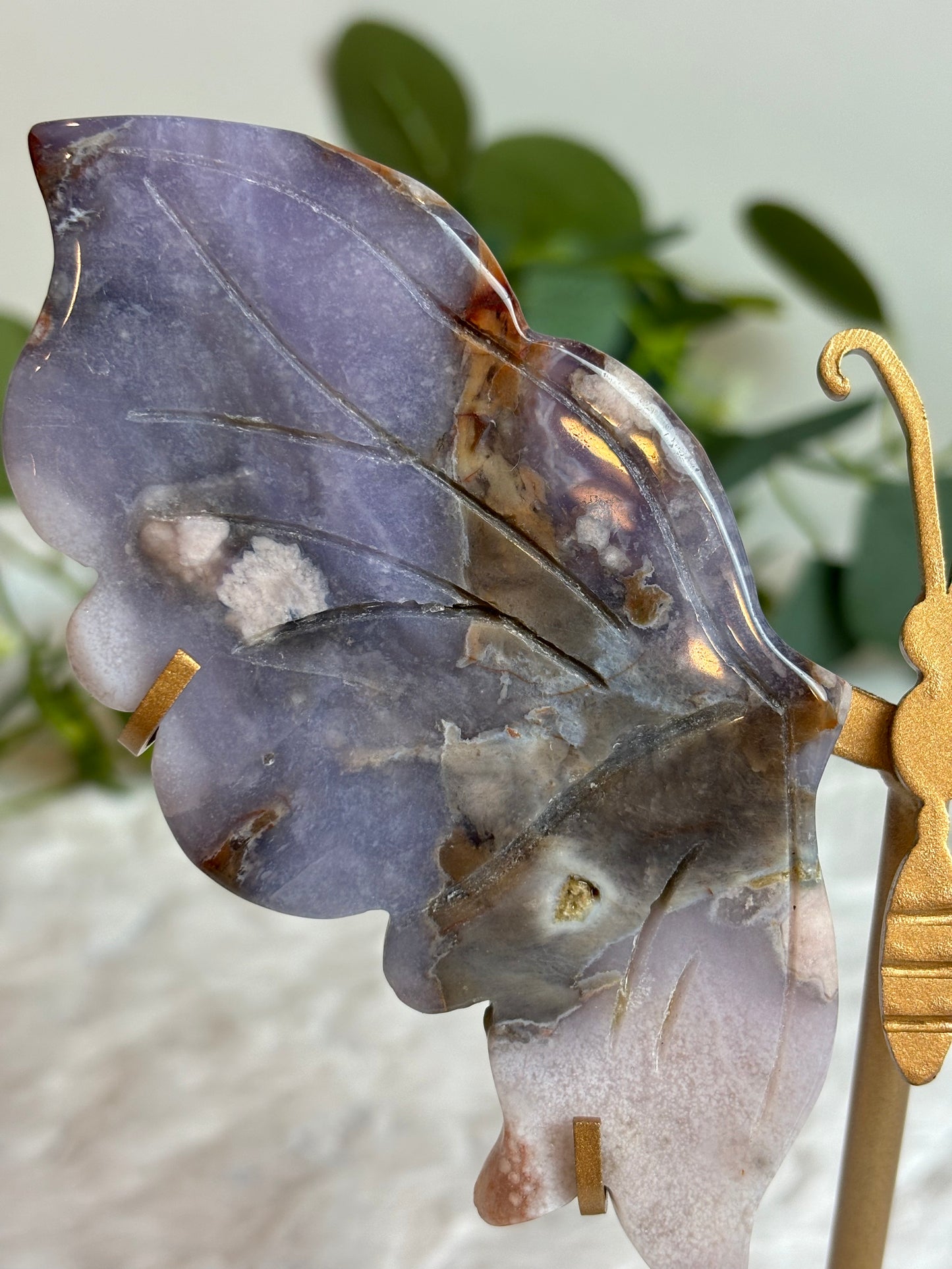 Blue Flower Agate Wings