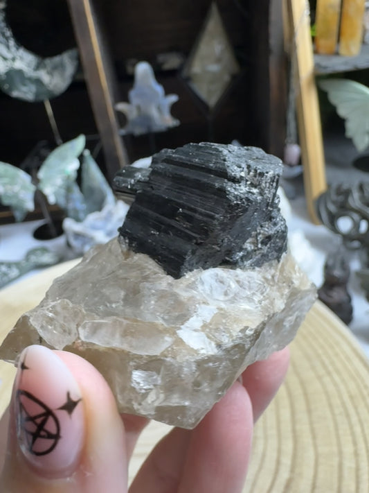 Black Tourmaline on Quartz
